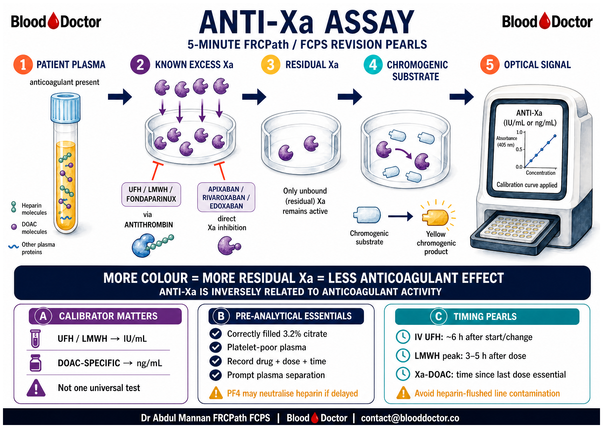 Diagram of the chromogenic anti-Xa assay principle, from anticoagulant-containing plasma through residual Xa and colour generation to the final assay result.